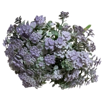 Зелень кольорова С30660, фіолетова №