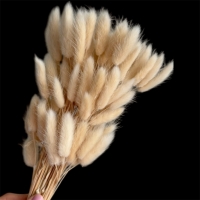 Лагурус кремовий K07 (100шт.),